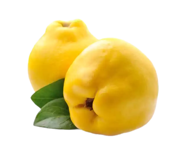 айва